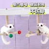 Juguetes para Petauro del Azúcar para Juego y Entretenimiento, Trepar, Molinillos de Viento Giratorios, Juguetes de Flor para Ratas, Juguetes para Hámsters y Loros, Postes de Soporte, Decoraciones para Jaulas
