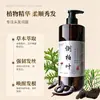 Shampoo Folha de Platycladus, Cuidados com os Cabelos de Gengibre, Controle de Oleosidade, Fofo, Anticaspa, Anticoceira, Shampoo Doméstico Feito à Mão