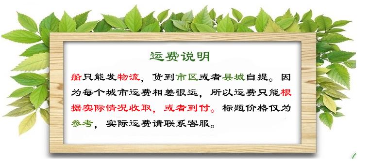 {B72E7751-D677-463A-804C-24935