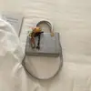 Bolsas de Alta Gama para Mujer 2026 Primavera Nuevo Estilo Bolso de Hombro para Viajes Cotidianos Moda Diseño Sencillo de Nicho Bolso de Hombro Único Cruzado