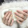 Parches de Manicura Hechos a Mano para Otoño e Invierno, Uñas Postizas, Uñas Largas, Blanqueamiento 10 Piezas de Uñas Portátiles Ojo de Gato de Cristal, Gama Alta