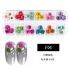 Nueva Uña Japonesa Flor Seca 12 Colores Estrella Girasol Margarita Pequeña 12 Colores Decoración de Flor Seca 24 Flores Secas para Uñas