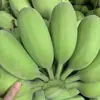 Plátano Manzana de Guangxi, disponible para entrega en cantidades de 2/3/5/ 4.5 kg piezas, buena calidad, maduro naturalmente, agridulce, con buen sabor, fruta fresca