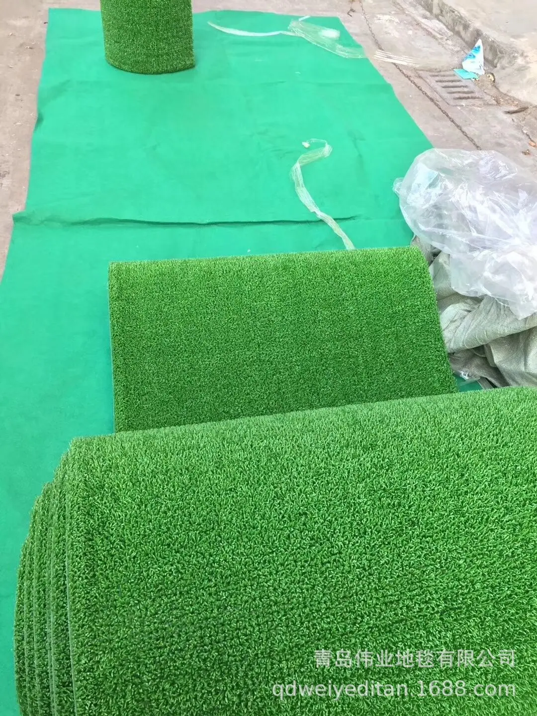 淘金草
