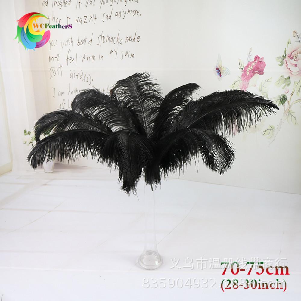 黑色 70-75cm 鸵鸟毛 1