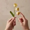 Ramo de Flores de Crocus de Lana Tejido y Ganchillo Accesorios Regalo del Día de la Madre Accesorios de Flores Artificiales Transfronterizos Temporada de Graduación