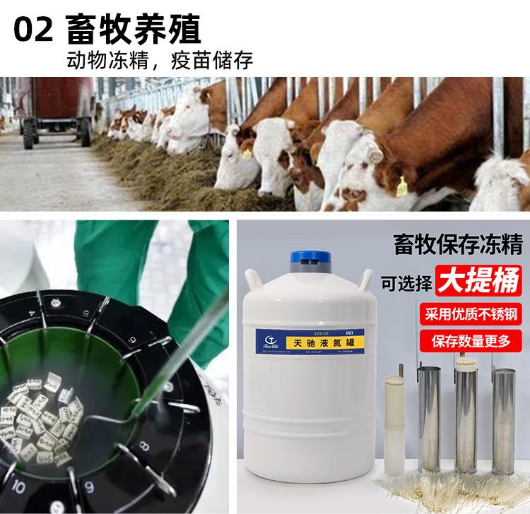 天驰_15.jpg