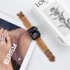 Adecuado para Apple Watch 11ª Generación 10/987Se Pulsera de Borla Estilo Múltiples Cadenas Correa de Acero Metálico