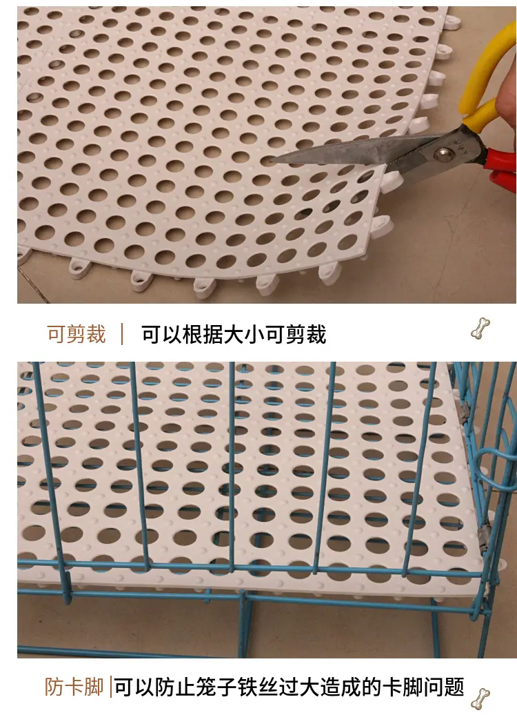 详情11
