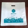 Saco para Lavagem a Seco Grande Ucc Saco Universal para Roupas Novo Modelo Ampliado Embalagem Espessa Bolsa de Plástico Portátil Especial