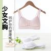 Ropa interior inalámbrica para niña pequeña, chaleco para desarrollo juvenil, copa fija, estudiante, dos etapas, sujetador de verano