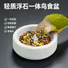 Comedero para Pájaros Molienda de Dientes Piedra Volcánica Comedero Especial para Pájaros Piel de Tigre Sol Pequeño Plato de Comida Resistente a Mordiscos Antivuelco Herramienta para Desgastar el Pico