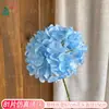 Simulación de Cabeza Única 81 Pétalos Ramo de Hortensias Hortensia de Simulación Tallo Único Arreglo Floral de Boda Transfronterizo Flor de Decoración de Ventana al por Mayor