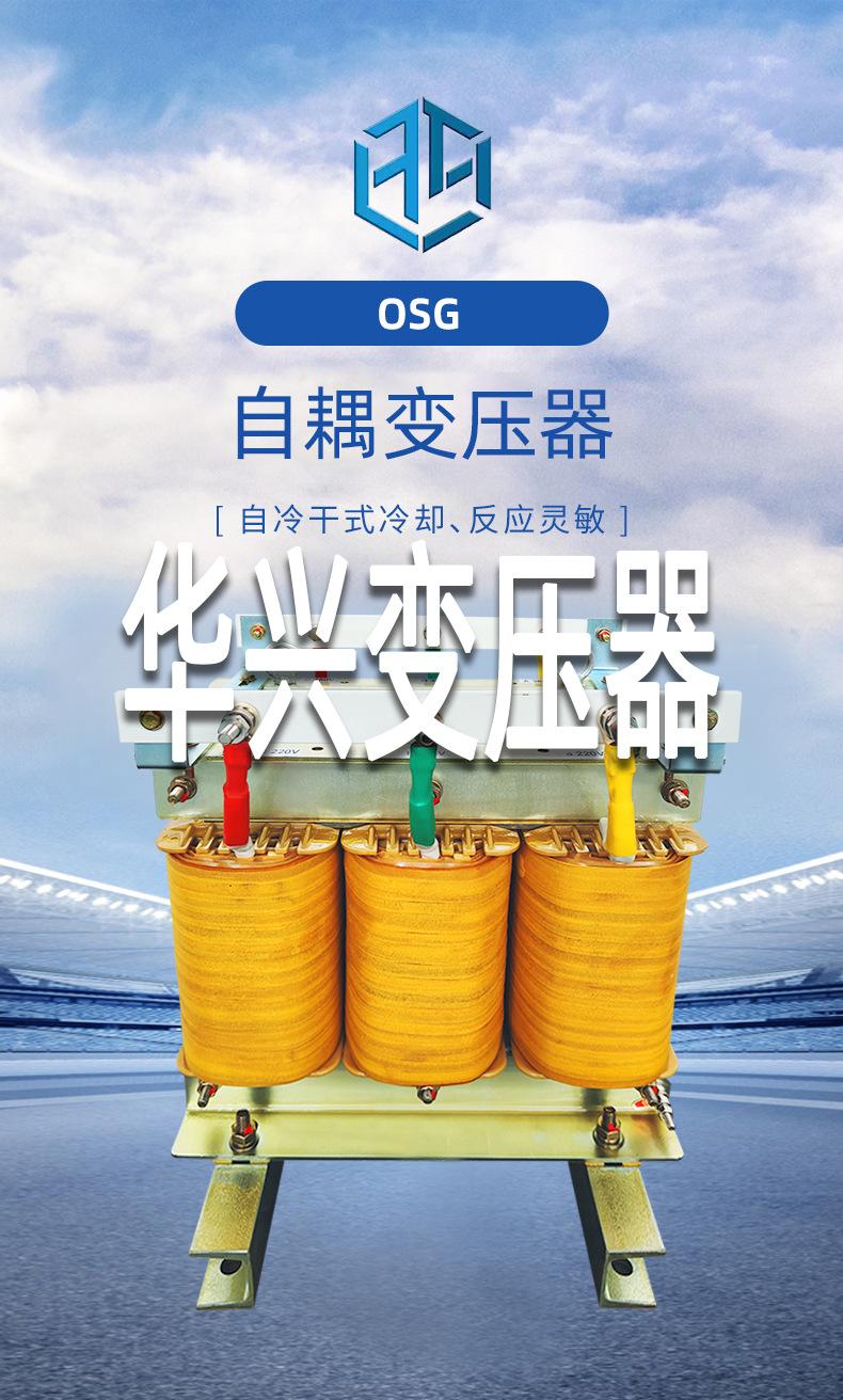 OSG-10-200-自耦变压器详情页-2025-07-29