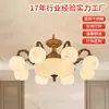 Lámpara de araña para sala de estar de villa estilo chino, Lámpara de mesa de comedor de villa de lujo ligero, Luz principal para salón de casa con protección ocular