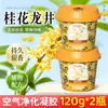 Gel de Aire Desodorante Osmanthus Longjing Sala de Estar Baño Inodoro Oficina Purificación del Aire Fragancia Desodorante Olor