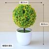 Sakura Bola de Nieve Planta Simulada Maceta Bola de Hierba Bonsái Árbol Pequeño Decoración para el Hogar Adorno Floral Creativo Mini Bola Pequeña Redonda