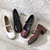 Zapatos retro de tacón grueso de una sola capa para mujer, combinables con todo, nuevos zapatos de cuero de tacón medio y punta cuadrada elegantes para primavera 2024.