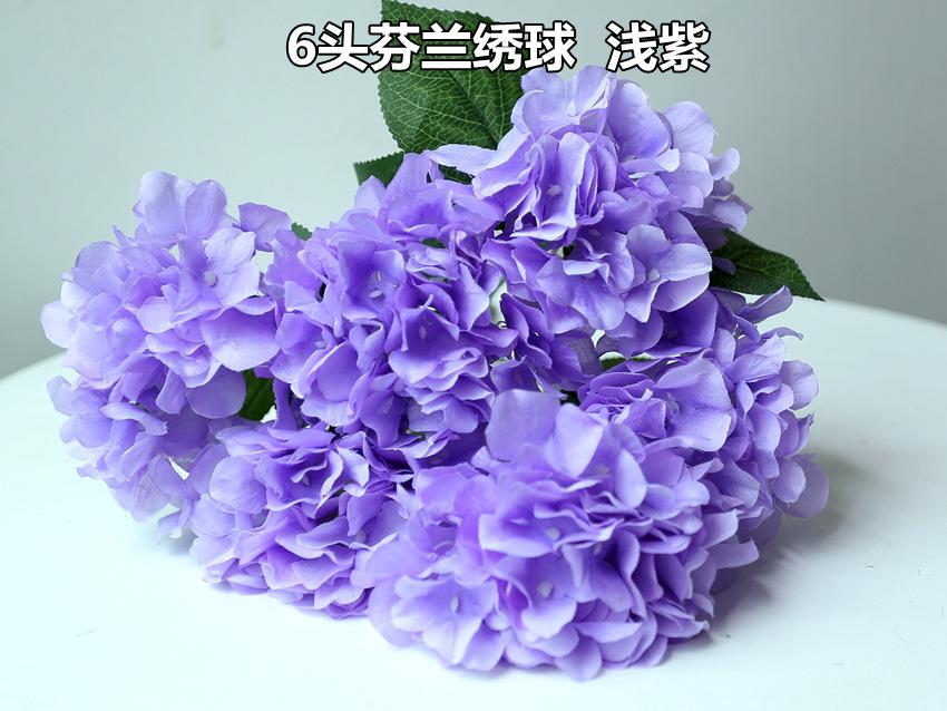 IMG_0120_副本_副本