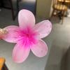 Pinza para el Cabello de Flor de Plumeria para Mujer, Pinza de Tiburón Floral, Accesorio Estilo Vacaciones en la Playa, Pasador, Adorno para el Cabello, Pinza para el Cabello