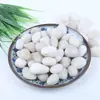 Piedras Pequeñas Naturales para Decoración de Sustrato de Acuario, Piedras de Colores, Metabo