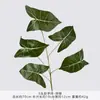 5 hojas artificiales de taro de colores, plantas verdes falsas, hojas de árbol artificiales para decoración de bodas, paisajismo y proyectos de arreglos florales