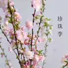 Galhos Secos de Salgueiro Neve Pearl Li Galhos Secos de Salgueiro Dragão Atacado Flores e Plantas Verdes de Véspera de Ano Novo