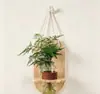 Conjunto de Plantas Verdes Hidropônicas de Parede com Suporte de Parede de Madeira Natural para Sala de Estar, Quarto, Mesa, Decoração Fresca, Plantas Fáceis de Cuidar
