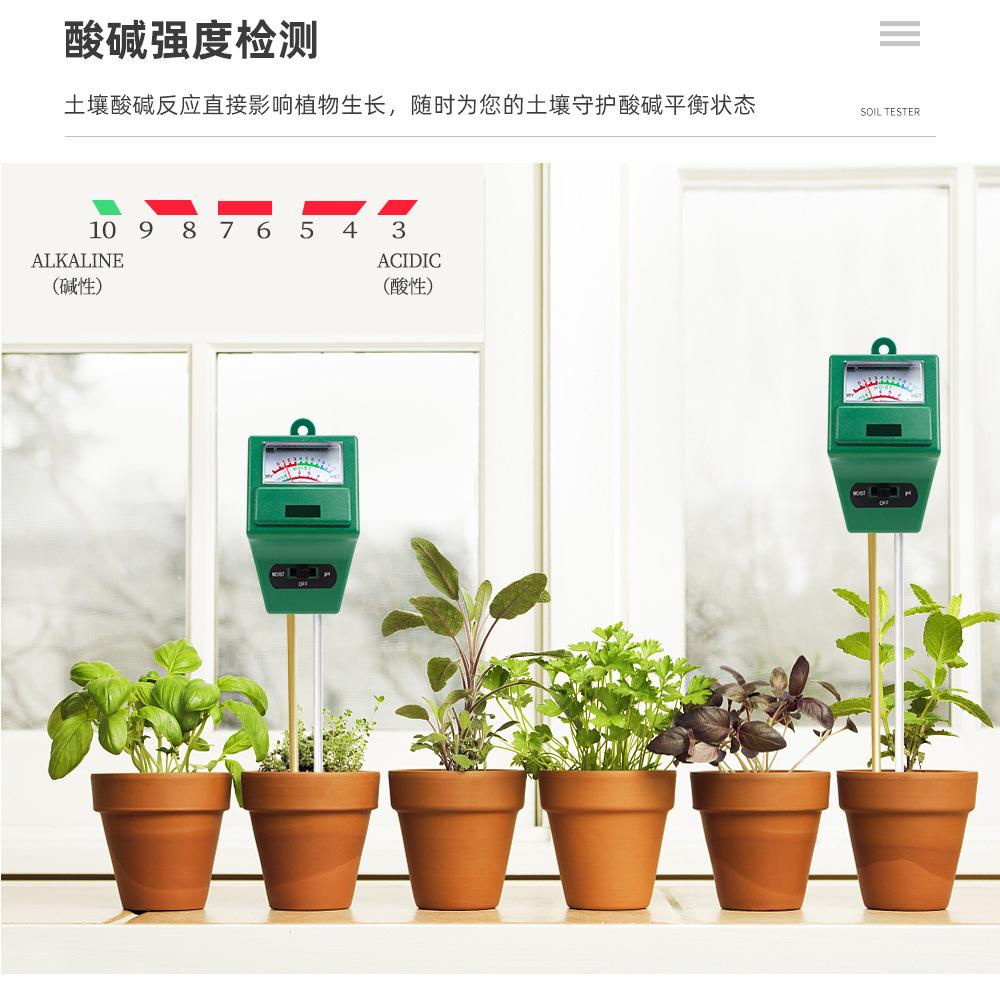 详情 (4).jpg