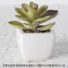 Suculentas Simuladas Personalizadas Cerámica Bonsái Plantas Verdes Escandinavas Adornos Hogar Interior Sala de Estar Flores Falsas Suculentas Plantas en Maceta