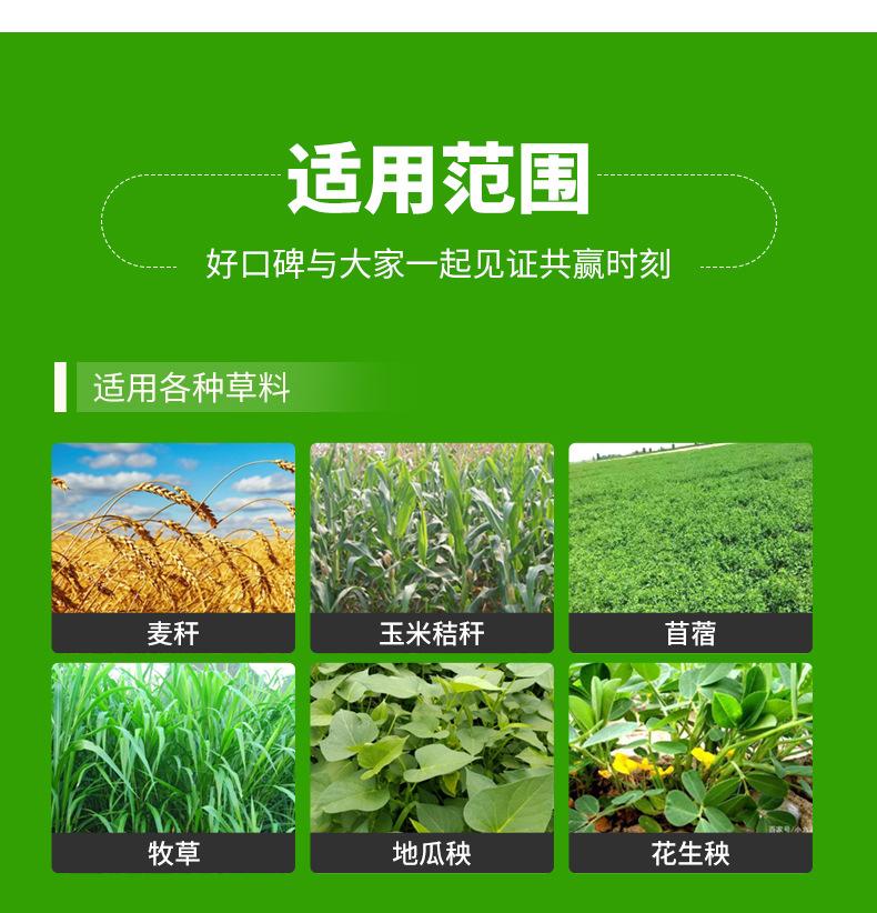 详情页版790-10000_15.jpg