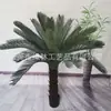 Árvore de Ferro Simulada em Vaso Cica de Interior Árvore Grande Paisagismo de Jardim Artificial Mais Planta Verde Árvore de Ferro Planta Verde Simulada