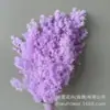 Flor seca de pino Penglai Yongsheng Año del Tigre Día de San Valentín regalo creativo DIY FLORAL adornos de decoración del hogar