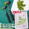 Materiales de Impresión con Piedra de Alumbre, Frotado y Teñido con Plantas, Herramientas de Primavera, Actividades Divertidas, Cultura/Set, Bolsa de Lienzo Manualidades para Niños