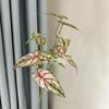 Hojas de Taro Coloridas Impresas en 3D Flores Artificiales, Materiales de Hojas Estilo Bosque para Decoración de Bodas, Plantas Verdes Artificiales, Hojas de Taro Coloridas de Rama Alta, Hojas de Lirio de Calas