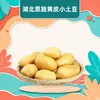 Papas pequeñas Huangpi de Enshi, Hubei, al por mayor y entrega 3/5/ 4.5 kg papas rosadas pegajosas medianas-grandes, verduras frescas