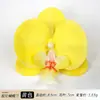 Tocado de Cabeza Artificial de Flor de Orquídea Phalaenopsis, Pinza para el Cabello Famosa en Internet, Adorno para la Cabeza, Recuerdo, Adecuado para Decoración de Bodas, Adorno de Muebles, Flor Artificial