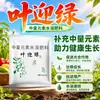 Huerto casero fertilizante foliar para frutas y verduras hoja verde suministro equilibrado de nutrientes mejorar la absorción del suelo problemas de plántula débil hoja amarilla