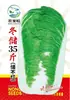 Sementes de Diversos Vegetais para Outono e Inverno, Sementes de Couve Chinesa, Mudas com Alta Taxa de Germinação, Novas Variedades de Colza Empresas Atacadistas
