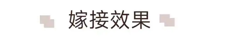 祥7-1.jpg