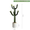 Cactus Falso Simulado Planta Verde en Maceta Florero Decorativo Adornos Pared de Fotos Fondo Simple Planta del Desierto Bonsái