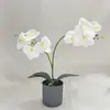 Planta Artificial Phalaenopsis de 8 Flores com Dois Ramos em Vaso para Decoração de Sala de Estar, Bonsai de Flor Artificial de Plástico para Pátio Externo Ornamento de Flor Artificial
