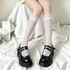 Calcetines de encaje hasta la pantorrilla para mujer estilo japonés, calcetines JK de moda, medias negras finas de verano, calcetines transparentes hasta la pantorrilla