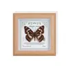 Borboleta Laranja Rosa Borboleta Real Produto Acabado Ornamento de Presente Pintura Decorativa Feriado Menina Presente de Aniversário Criativo Alto Padrão Feito à Mão