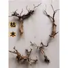 Tocones de Árbol Muerto Ramas Modelo Microscópico Escena Fabricación Suministros para Mascotas Base de Figura Embellecimiento de Fondo Decoración Obstáculo