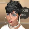 Pixie Wigs AliExpress Peluca Caliente Cabello de Mujer Peluca Europea y Americana Cabello Corto Rizado Seda de Alta Temperatura Fibra Química Peluca
