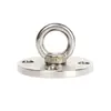 Anillo de Carga Giratorio Fijo de Acero Inoxidable 304 para Yoga Aéreo, Colgador de Saco de Arena para Hamaca, Soporte Fijo
