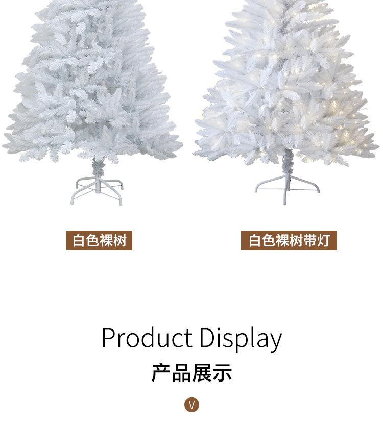 白色裸树_04.jpg?x-oss-process=image/format,png