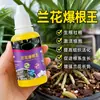 Rey de Enraizamiento de Orquídeas Agente Enraizante Tipo Spray Agente Enraizante Fuerte Fortalece Raíces Florece Raíces Protege Raíces Promueve Flores Nutre Raíces Específico para Orquídeas