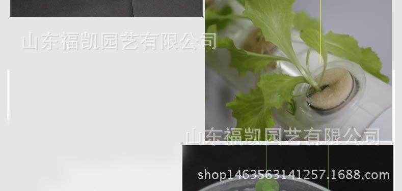 22#-50#定植篮详情页_10
